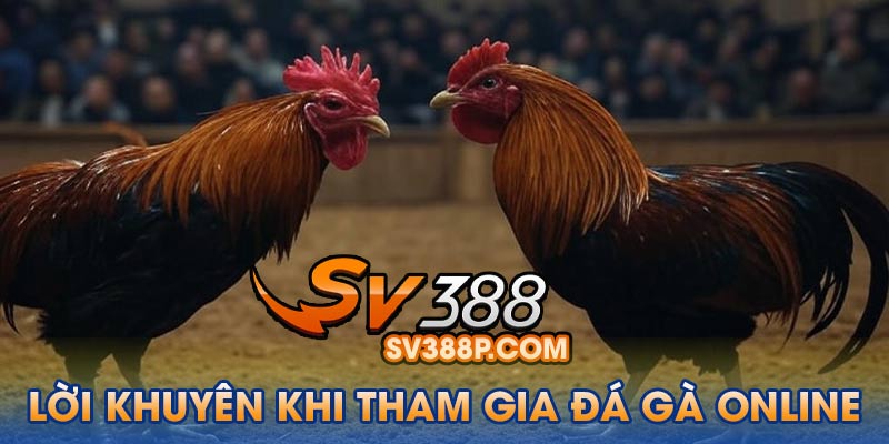 Các Lời Khuyên Khi Tham Gia Đá Gà Online